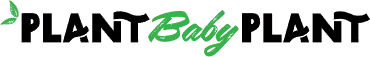 wordmark for plant baby plant