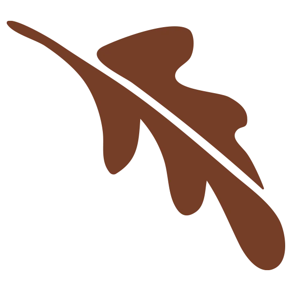 leaf 4 - Plant Baby Plant