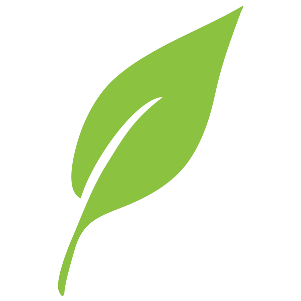 leaf 2 - Plant Baby Plant