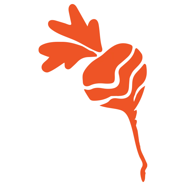 raddish - Plant Baby Plant