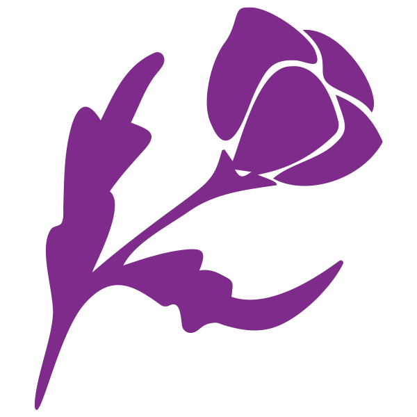 floral 5 - Plant Baby Plant