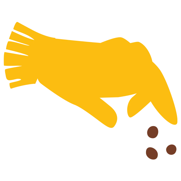 planting seeds - Plant Baby Plant