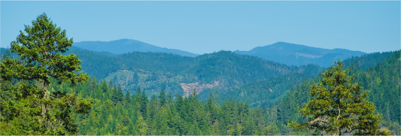 green mountain vista