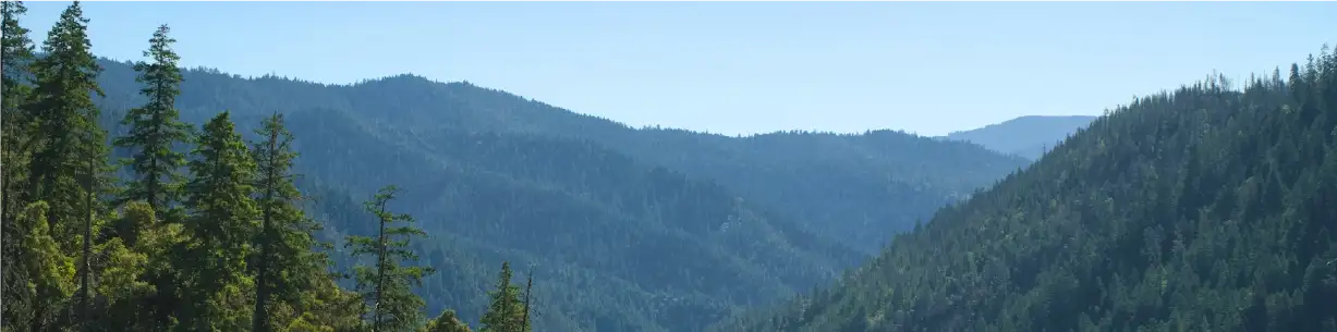 mountain range with trees 2