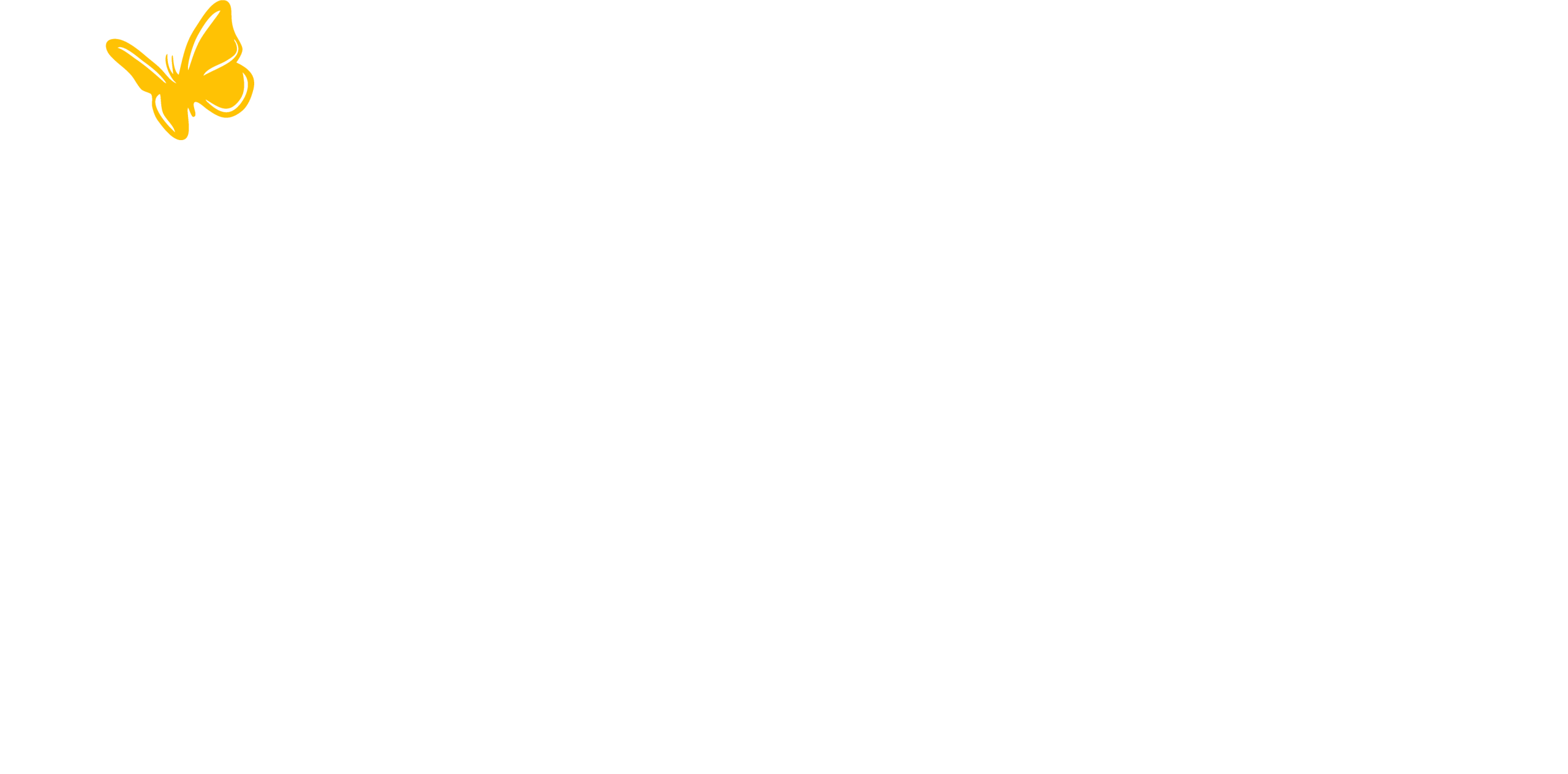 butterfly trace yellow