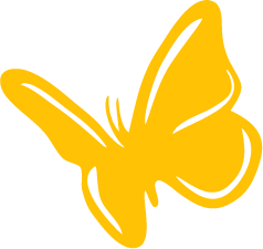 yellow butterfly