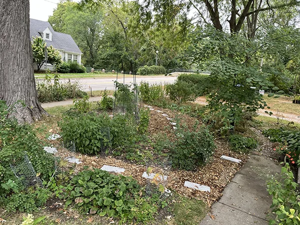 Bur Oak Land Trust garden landscape