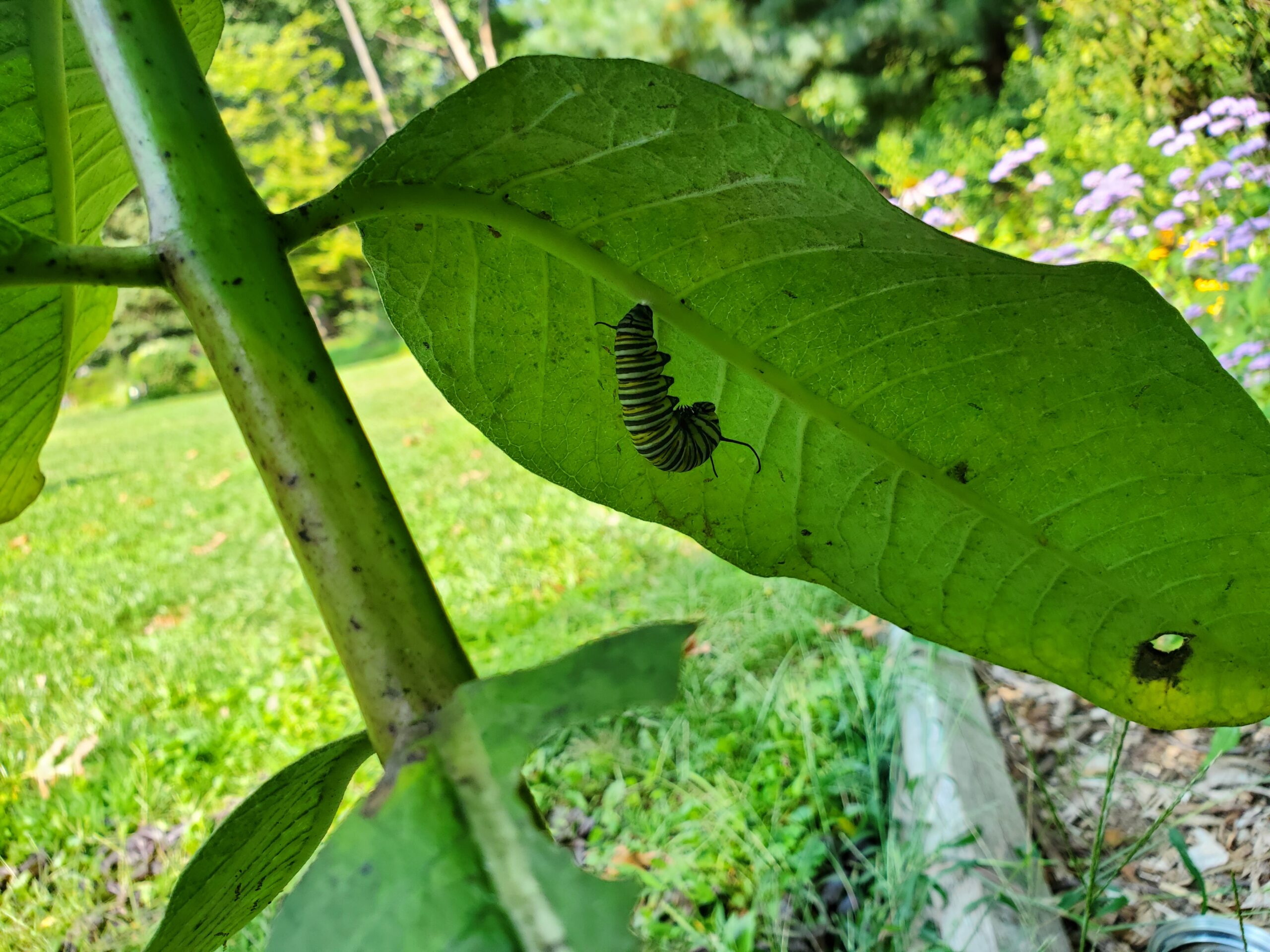 3 20240904 103335 Shelby Aldrich