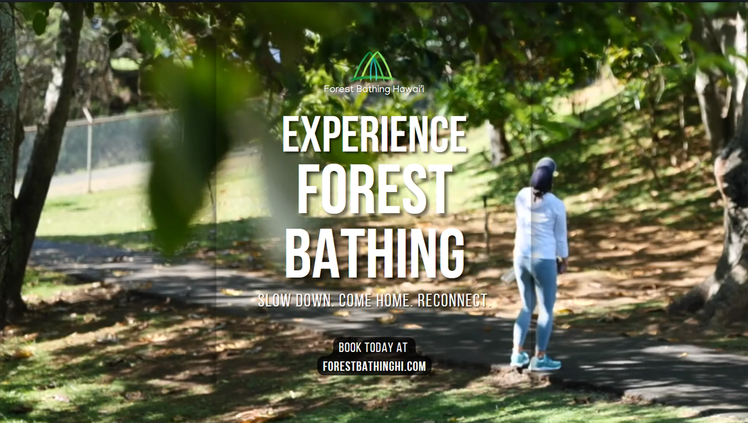 Title Image 1 Forest Bathing HI Phyllis Look Copy