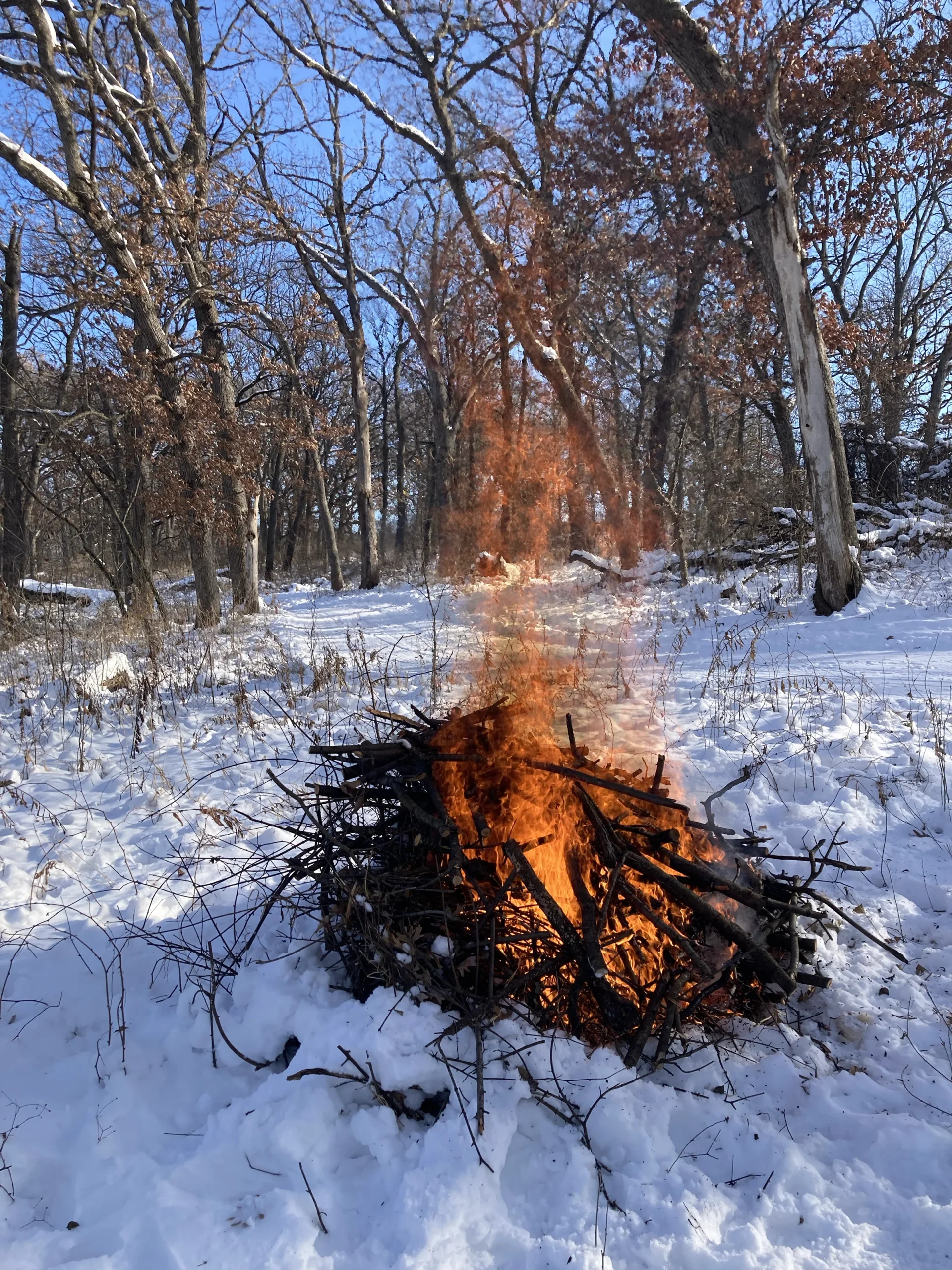 Title Image 1 Solstice Brush Burn Kiley Komro Copy