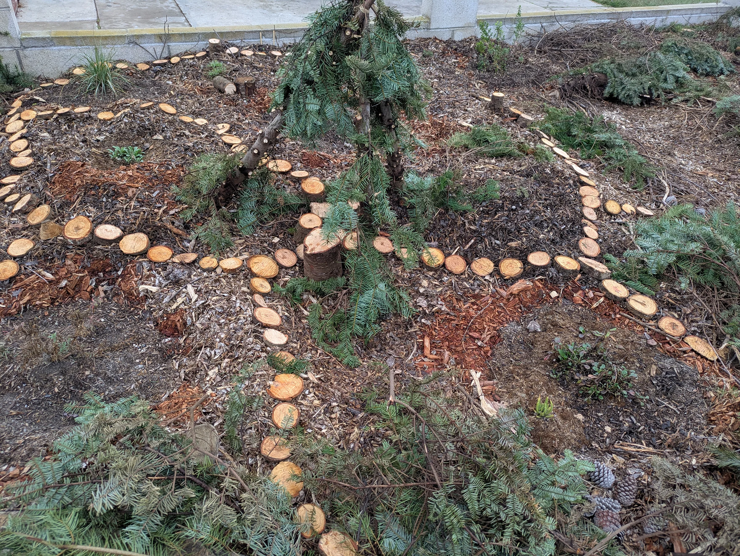 Title Image 2 PXL 20251222 180546581 Catherine Hoang Copy