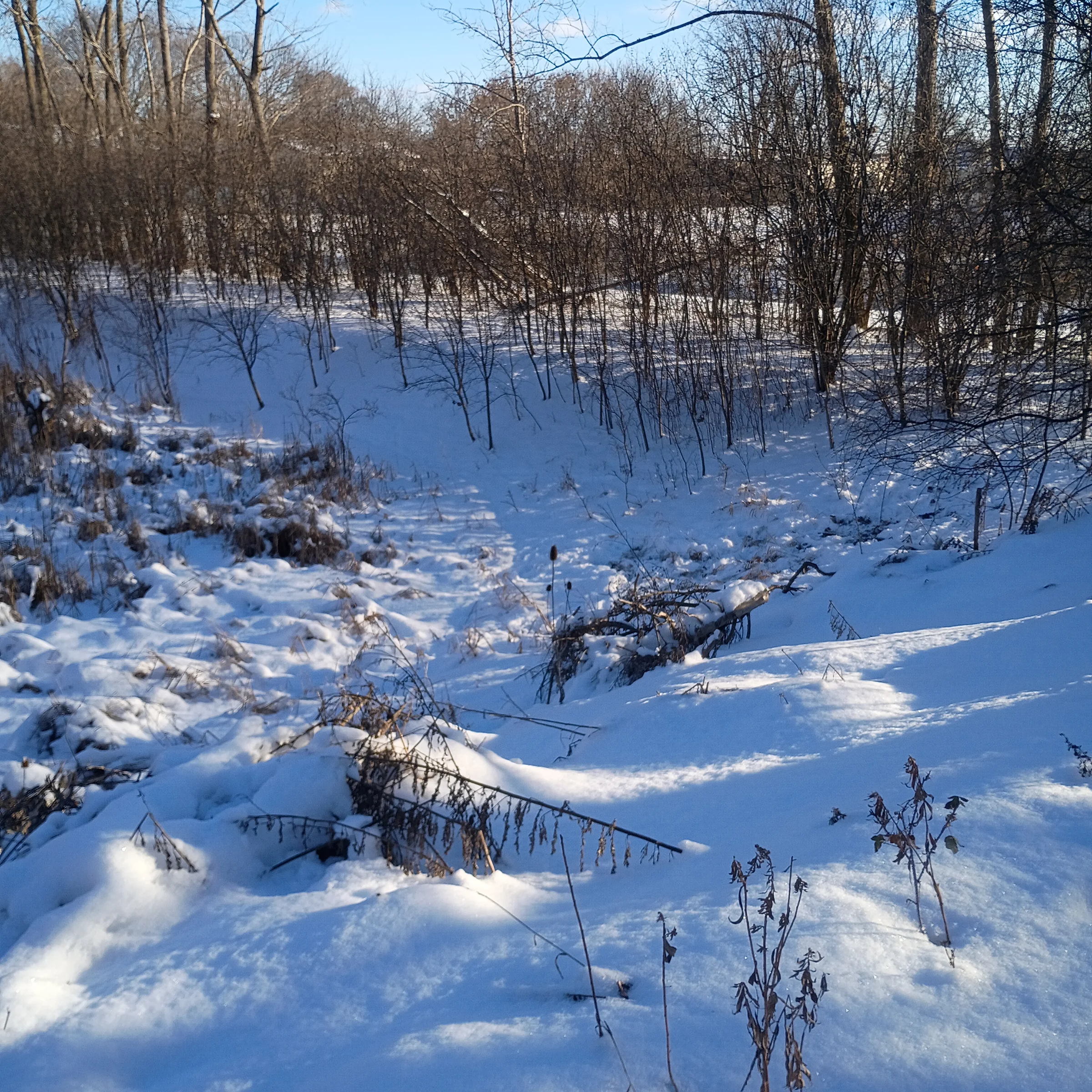 Title Image 1 IMG 20260102 153236003 Jerri Dombrowski Copy