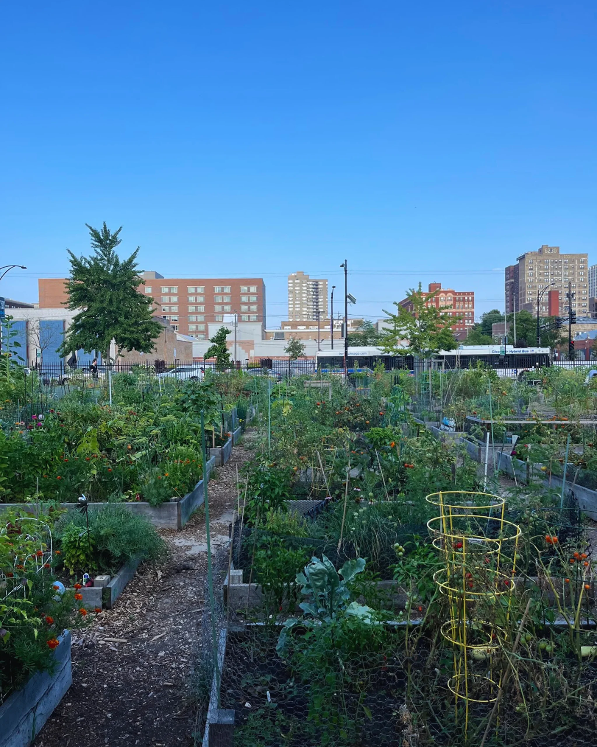 1 4 Arabella Breck Copy