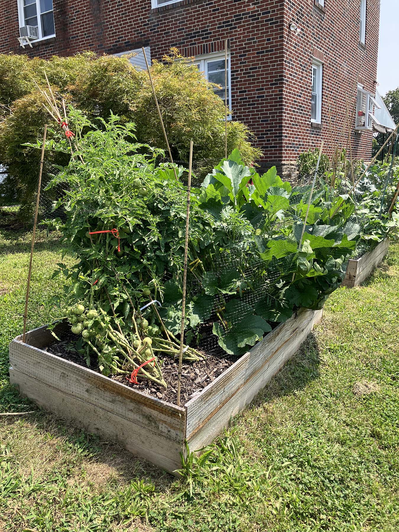 Garden Box 1