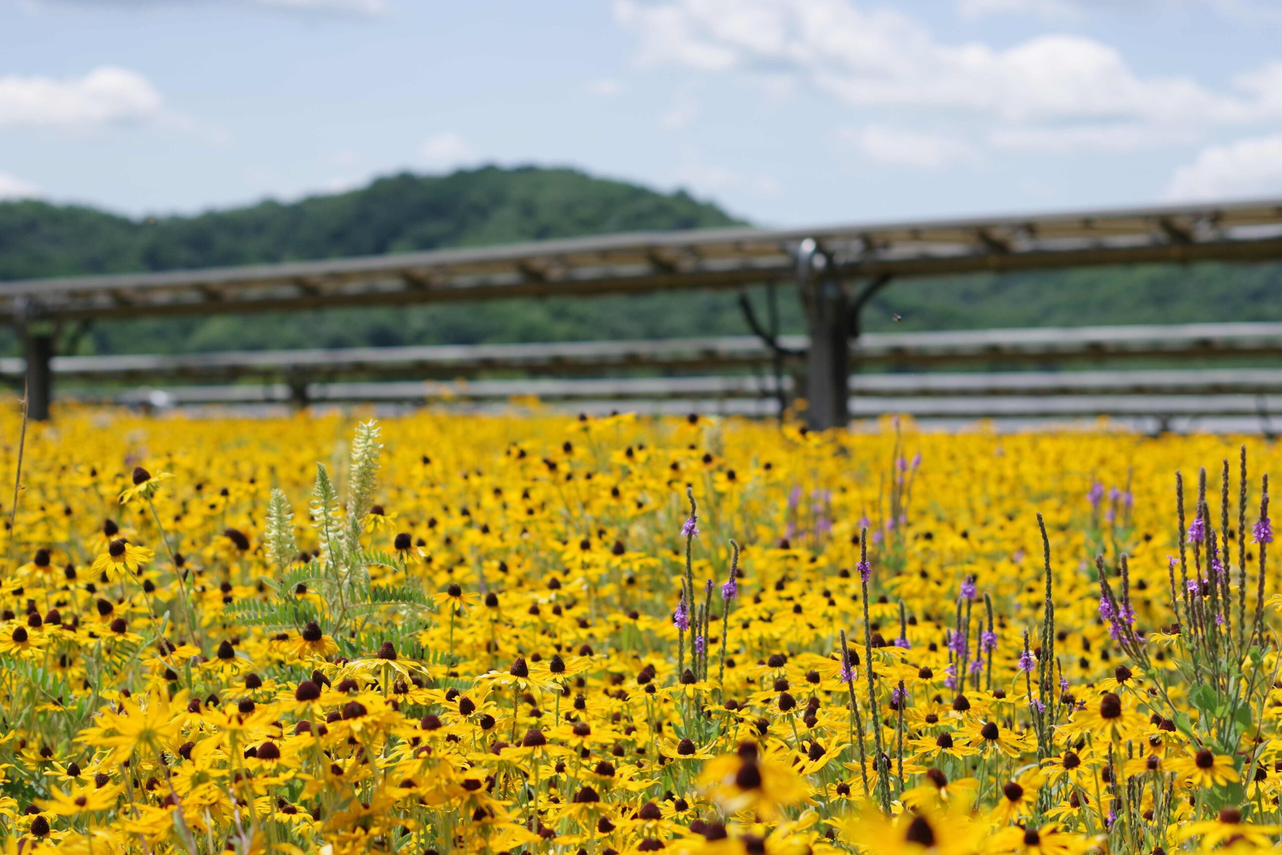 Stockton Prairie