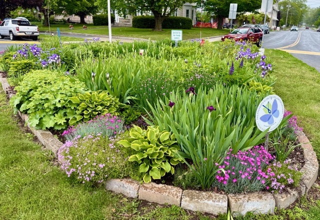 Traffic Island May 31 2026